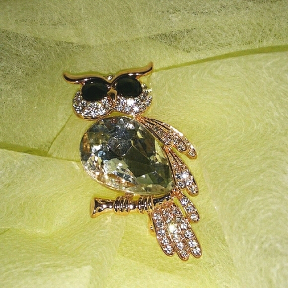 Owl Brooch - Picture 6 of 7